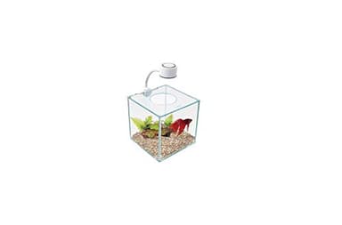 Marina Aquarium Betta Kit Cubus en Verre Éclairage LED 3,4 L