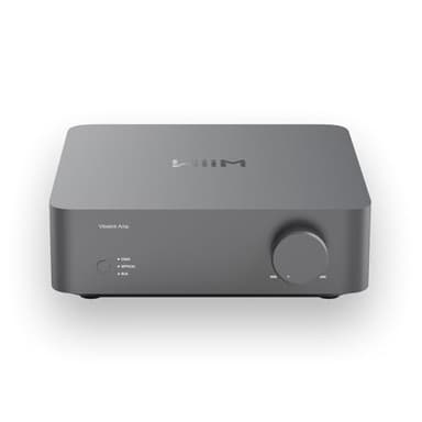 WiiM Vibelink Amp | Amplificateur de Puissance 100W avec DAC ESS 9039Q2M Haut de Gamme et TI TPA3255 | Compatible avec WiiM Mini, Pro, Pro Plus et Ultra | Entrées RCA, Coax et Optique | Gris Espace