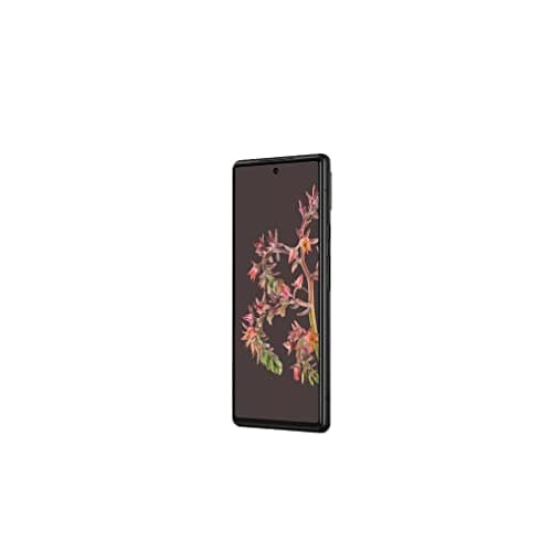 Google Pixel 6 - Smartphone débloqué Android 5G avec caméra 50 Mpix et Objectif Grand Angle - 128 Go - Stormy Black (Reconditionné)