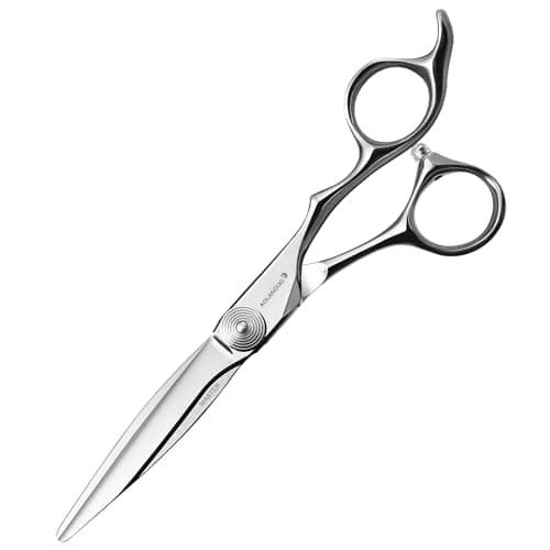 AOLANDUO Ciseaux Coiffure 6 Inch - Série Maître Scissors en Acier VG10 - Lame Tranchante & Ergonomique - Idéal pour Coiffeurs Styliste/Beauticiens - Ciseaux Coiffure Professionnel Salon