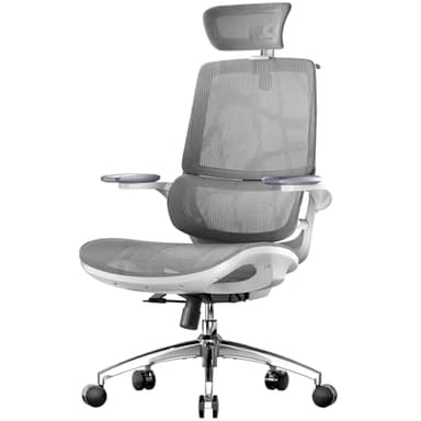 SIHOO M59AS Chaise de Bureau Ergonomique, avec accoudoirs 3D relevables, Double Dossier, Soutien Lombaire Dynamique adaptatif et Maille, idéale pour Le Bureau à Domicile.