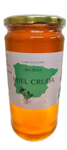 Miel pur d'abeille - 100 % d'origine espagnole - miel cru-1 kg - miel naturel et organique - direct d'apiculteur - non transformé-non pasteurisé (Kg, fleurs sauvages)