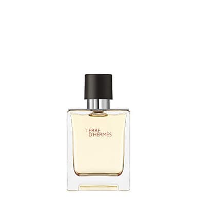 Hermes TERRE DHERMES edt vaporizador 50 ml