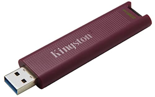 Kingston DataTraveler Max - 256Go - USB 3.2 Gen 2 - Clés USB Type-A - Jusqu’à 1 000 Mo/s en lecture, 900 Mo/s en écriture