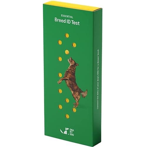 DNA My Dog Test d'identification de Race Essentielle | Précision de 99% | Analyse ADN de Plus de 360 Races de Chiens | Exécution la Plus Rapide en Moins de 3 semaines | Dernière Technologie |