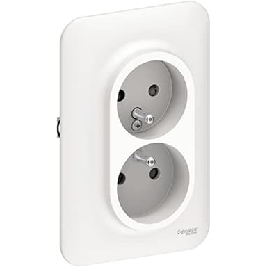 Schneider Electric - Ovalis - Double Prise de Courant - 2P+T - rénovation pour boîte Simple Blanc - S261089