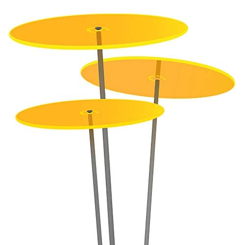 Cazador-del-sol ® | Medio | Trois | Jaune