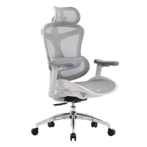 SIHOO Doro C300 Chaise de Bureau Ergonomique avec Accoudoirs Ultra Doux en 3D, Soutien Lombaire Dynamique pour Chaise Bureau à Domicile, Fauteuil de Bureau avec Dossier réglable(Blanc)