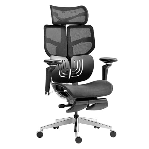 HINOMI X1 Chaise de Bureau Ergonomique à Dossier Haut, Repose-Jambes Intégré, Accoudoirs 6D, Dossier 4 Panneaux, Soutien Lombaire Ajustable, Siège Respirant, Confort Idéal pour Bureau (Noir,S)