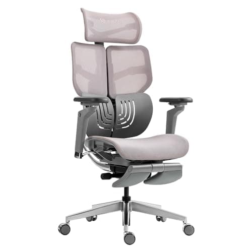 HINOMI X1 Chaise de Bureau Ergonomique à Dossier Haut, Repose-Jambes Intégré, Accoudoirs 6D, Dossier 4 Panneaux, Soutien Lombaire Ajustable, Siège Respirant, Confort Idéal pour Bureau (Rose,L)
