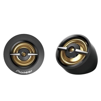 Pioneer TS-A301TW