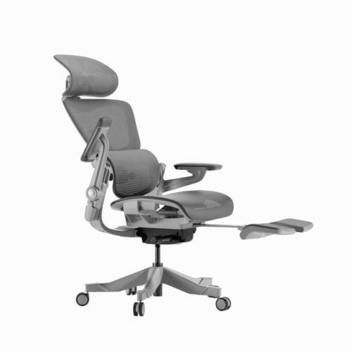 HINOMI H1 Pro V2 Chaise de Bureau Ergonomique avec Repose Pied, Support Lombaire 3D, Fauteuil de Bureau Ergonomique Pliable, Accoudoirs, Siege de Bureau Inclinable 136°(Gris, Hauteur supplémentaire)