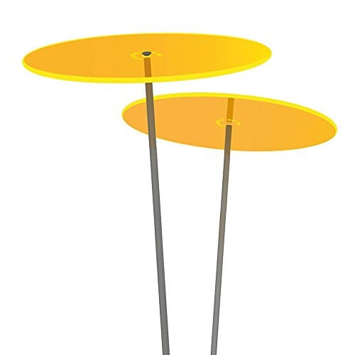 Cazador-Del-Sol Lot de Medio – Duo – Lot de 2 disques Attrape-Soleil Jaune 1,20 mètres de Haut – L'original