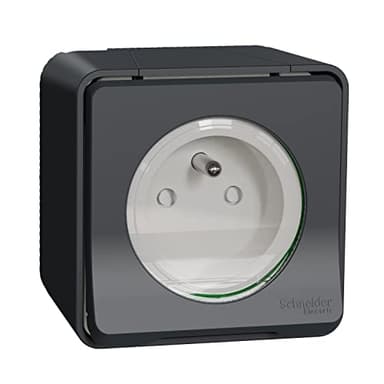 Schneider Electric - Mureva Styl - Prise courant 2P+T - saillie - IP55 - IK08 - connexion auto - gris - MUR35031