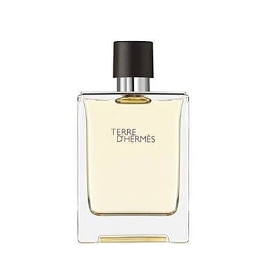 Hermes Terre d'Hermès Eau de toilette vapo 100 ml