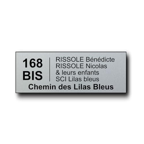 Plaque Boite aux Lettres Personnalisable - Adresse Complète et Numéro de rue - 12x5 cm - 5 Lignes - Adhésive - Maison, Famille, Bureau - Conforme à la Norme Juin 2024 (Argent écriture Noire)