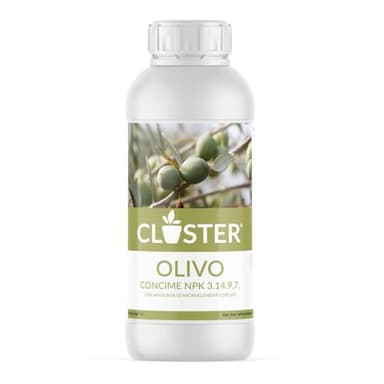 CLOSTER - Engrais Liquide pour Oliviers 1 Litre avec Azote, Cuivre, Phosphore et Potassium - Chélates de Fer pour Plantes Vertes d'Intérieur, Jardin et Potager, Spécial Oliviers 1 Litre