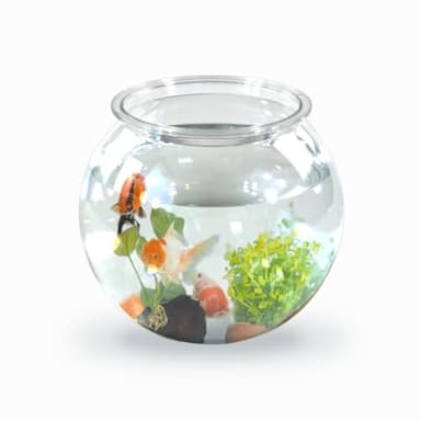 Mobiclinic® Pets, Bocal Poisson, Rond, Nemo, 4 litres, Plastique Pet eco, Design Transparent, 20x20x17, 5cm, Facile à Nettoyer, Résistant, Idéal pour la décoration intérieure, Herbes Aquatiques