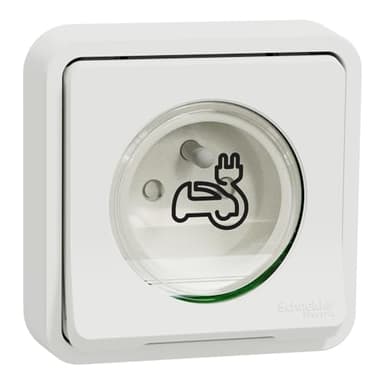 Schneider Electric - Mureva Styl - Prise courant 2P+T renforcee - encastre - IP55 - IK08 - EV - blanc - MUR39011