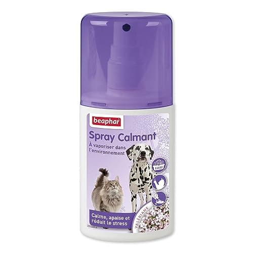 Beaphar – NO Stress – Spray calmant à la Valériane pour Chat – Réduit Le Stress et Les problèmes comportementaux sans dépendance ni Somnolence – Flacon 125 ML – 5 Heures d'action