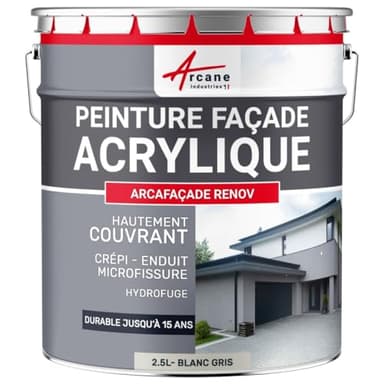 Peinture Façade - Peinture Hydrofuge Acrylique 14 couleurs - Dure jusqu'à 15 ans 2.5 L (+ ou - 15 m² en 1 couche) - Blanc Gris - RAL 9002 - ARCANE INDUSTRIES