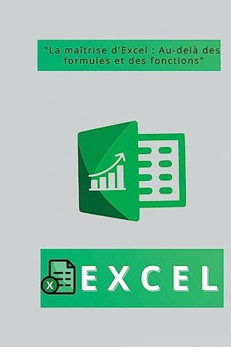 Excel: "La maîtrise d'Excel: Au-delà des formules et des fonctions"