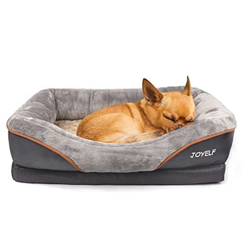 JOYELF lit pour Chien orthopédique Petit lit pour Animaux de Compagnie en Mousse à mémoire avec Housse Lavable Amovible et Jouet grinçant comme Cadeau