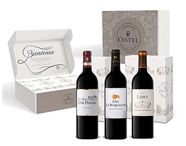 Coffret Cadeau - Vin Rouge - Coffret Bordeaux Dégustation : Les Hauts de Tour Prignac – Cru la Maqueline - Château du Lort - 3x75cl
