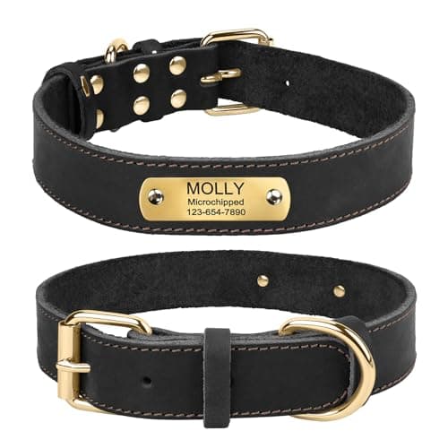 TagME Collier de Chien en Cuir Personnalisé,Médaille Gravée avec Nom et Numéro de Téléphone,Cuir Véritable épais,Convient aux Chiens de Taille Moyenne,Noir