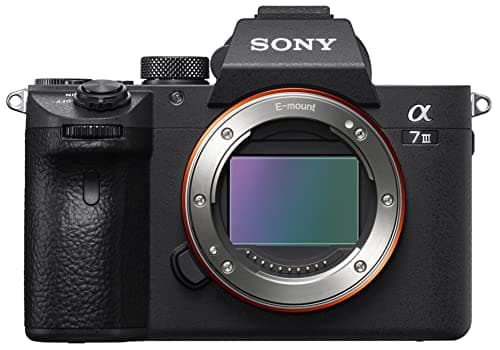 Sony Alpha 7 III | Appareil Photo Numérique Hybride Plein Format ( 24,2 MP, AF en 0.02s, Suivi des Yeux, stabilisation interne 5 axes, 4K HLG, Batterie Haute Capacité) (ILCE7M3, A7M3)