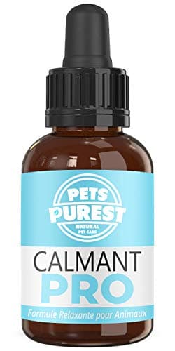 Pets Purest Supplément calmant Normal d'aide de 100% pour des Chiens, des Chats et des Animaux familiers. Réduit l'anxiété et Le Stress chez Vos Animaux de Compagnie (50ml) (FR)