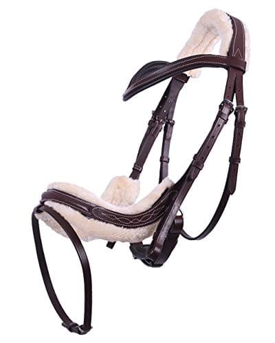 QHP Bridon Ontario - Marron - Cheval