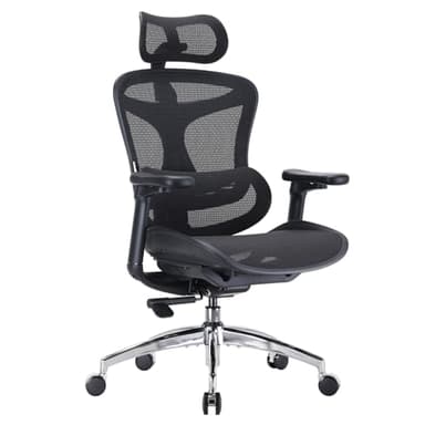 SIHOO Doro C300 Chaise de Bureau Ergonomique avec Accoudoirs Ultra Doux en 3D, Soutien Lombaire Dynamique pour Chaise Bureau à Domicile, Fauteuil de Bureau avec Dossier réglable(Noir)