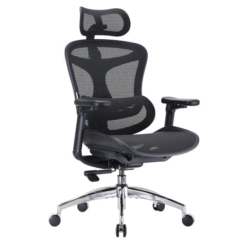 SIHOO Doro C300 Chaise de Bureau Ergonomique avec Accoudoirs Ultra Doux en 3D, Soutien Lombaire Dynamique pour Chaise Bureau à Domicile, Fauteuil de Bureau avec Dossier réglable(Noir)