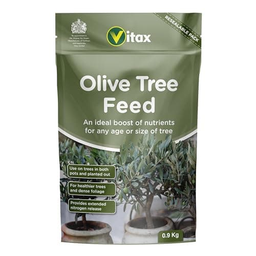 Vitax Engrais pour olivier, convient pour bordures, pots et conteneurs, favorise une croissance saine : sachet de 0,9 kg