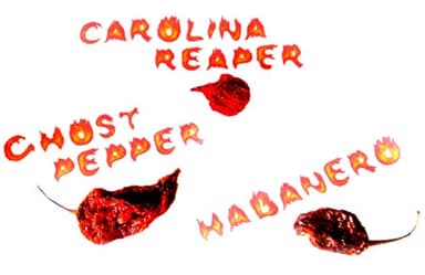 1x carolina reaper 1x ghost pepper 1x habanero piment entier séché sec - piments les plus forts du monde