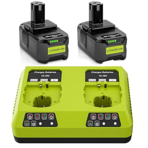 2X 18V 5,5Ah Batterie Remplacement pour Ryobi + 6A Double Chargeur Compatible with Ryobi One+ Batterie RB18L50 RB18L25 RB18L13 RB18L40 RB18L20 P108 P102 P103 P104 P105 P106 P107
