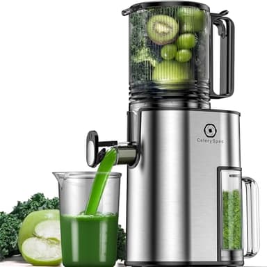 CelerySpec Extracteur de Jus Lent, Centrifugeuse Fruits et Legumes avec Goulotte 130 mm, 1,8L, Slow Juicer Sans BPA, 250W, Nettoyage Facile, Fonction Inverse, Acier Inoxydable Noir