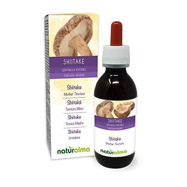 Shiitaké ou Lentin du chêne (Lentinula edodes) champignon Teinture Mère sans alcool Naturalma - Extrait liquide gouttes 120 ml - Complément alimentaire - Végétalien ou végan
