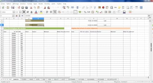 FICHIER DE COMPTABILITE POUR MICRO ENTREPRISE (AVEC TVA)
