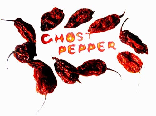 10x ghost pepper piment entier séché sec - piments les plus fort du monde- entiers séchés secs