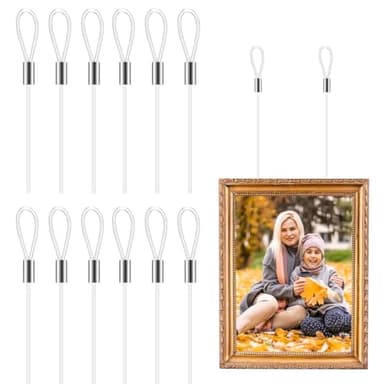 DIYEAH Lot de 12 cordes en nylon transparent de 1,5 m pour suspendre des photos avec boucle pour bricolage, usage domestique, kit de suspension de cadre de miroir