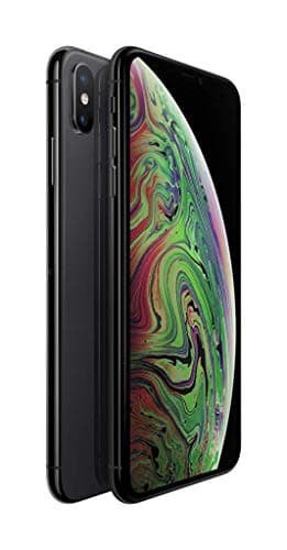 Apple iPhone XS Max 256Go - Gris Sidéral - Débloqué (Reconditionné)
