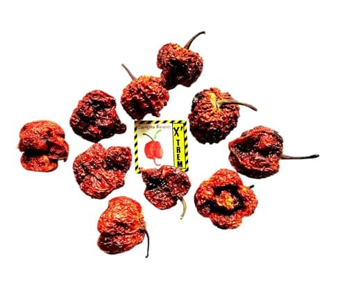 hot 10g Piment Carolina Reaper Le Plus Fort du Monde