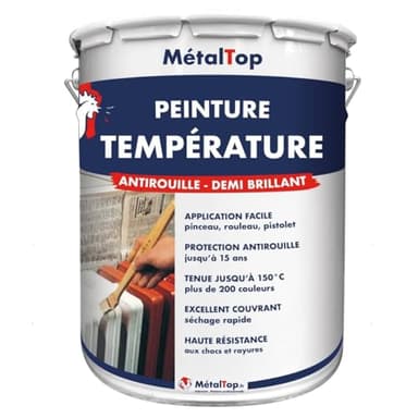 Metaltop - Peinture Temperature - Gris anthracite - RAL 7016 - Pot 1 L