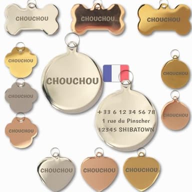 Medaille Chien Avec Gravure - Médaille Chat - Recto Et Verso - 3 Lignes - Gravure Laser En France