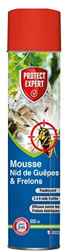 PROTECT EXPERT Mousse Nids de Guêpes et Frelons - aérosol de 600 ML