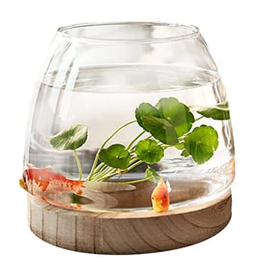 PW TOOLS Mini Aquarium, Bocal À Poisson en Verre, Petit Aquarium Rond en Verre Transparent avec Base en Bois, Vase pour Hydroponique, pour Décoration De Bureau À Domicile