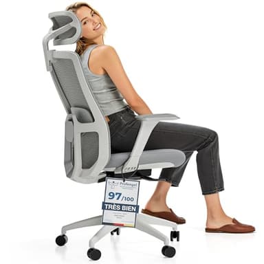 Desktronic Chaise de Bureau Ergonomique réglable Chaise de Bureau avec Appui-tête, accoudoirs, Support Lombaire, réglages de la Hauteur - Maille Respirante