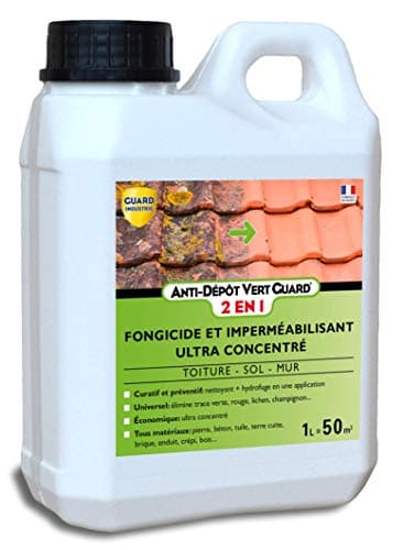 Guard Industrie Anti Dépôt Vert Guard 2en1 Nettoyant Imperméabilisant Invisible Anti Champignon Lichen-Tous Matériaux- 1L -50m²